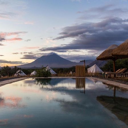 Africa Safari Lake Natron Camping Mtowabaga Eksteriør bilde