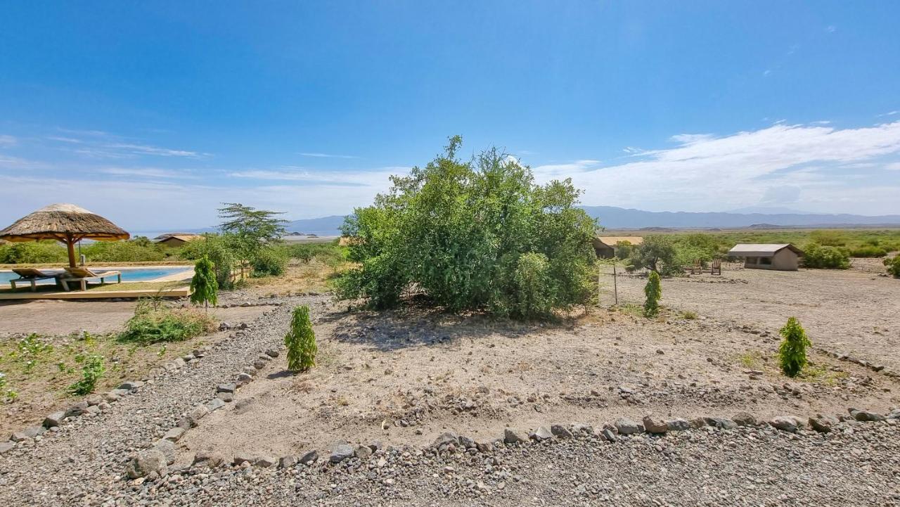 Africa Safari Lake Natron Camping Mtowabaga Eksteriør bilde