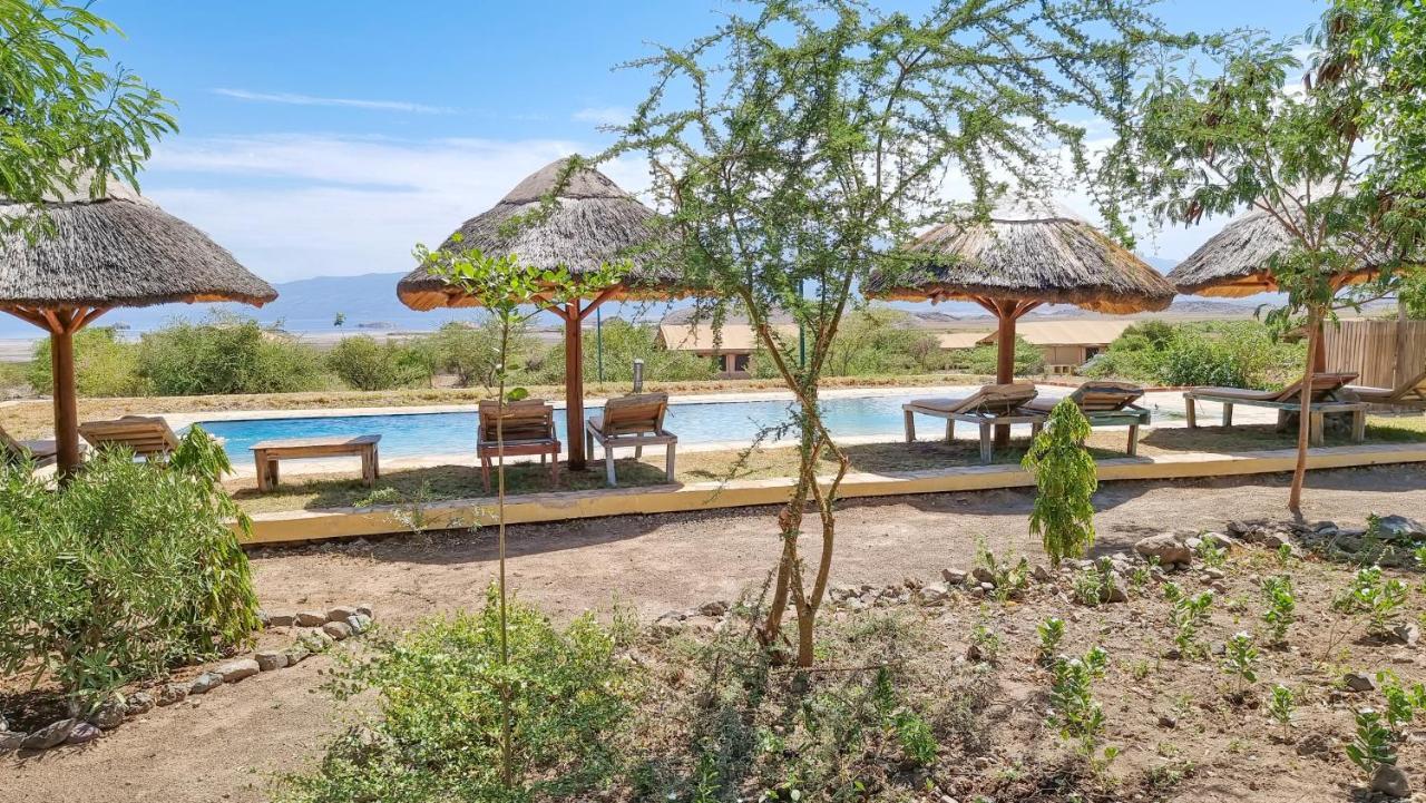 Africa Safari Lake Natron Camping Mtowabaga Eksteriør bilde